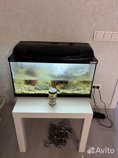 Аквариум