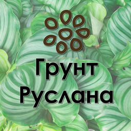 Грунт Руслана