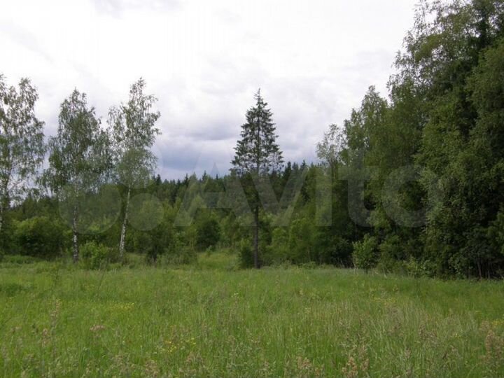 Участок 15 сот. (ИЖС)