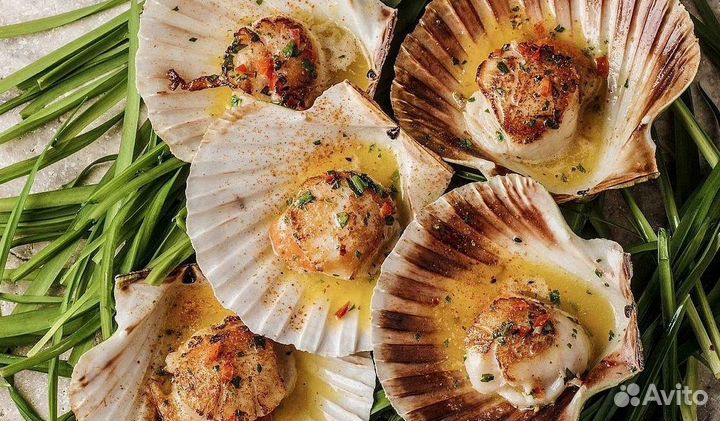 Гребешок морской на створке