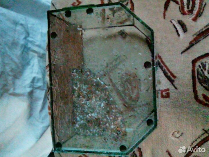 Мини террариум