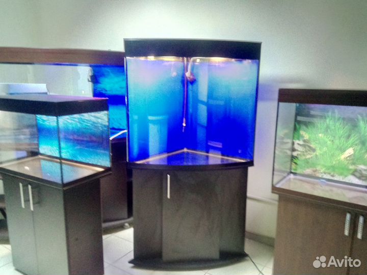 Аквариум200,угловой полукруглый, биофильтр, тумба