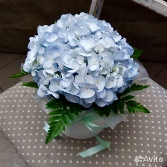 Коробка с Гортензией Доставка