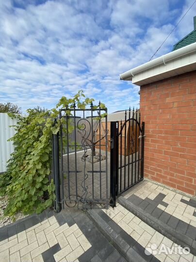 Передержка собак