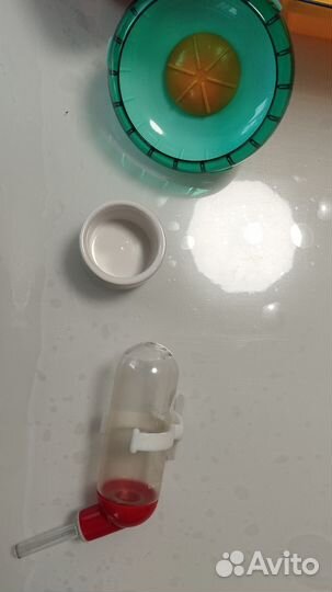 Набор для хомяка