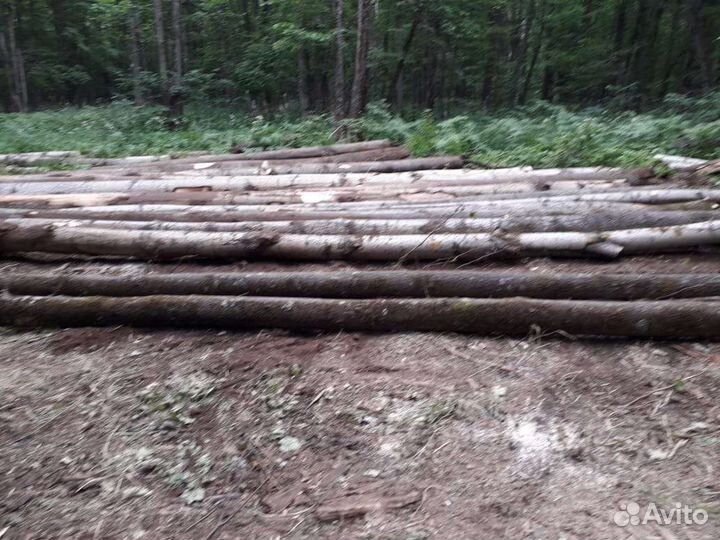 Продаётся кругляк осина