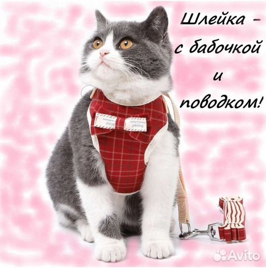 Шлейка для кошки и собак