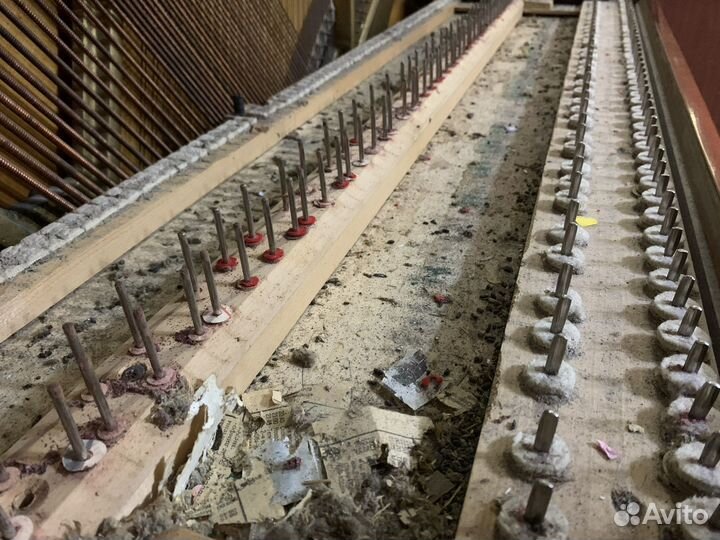 Настройка фортепиано