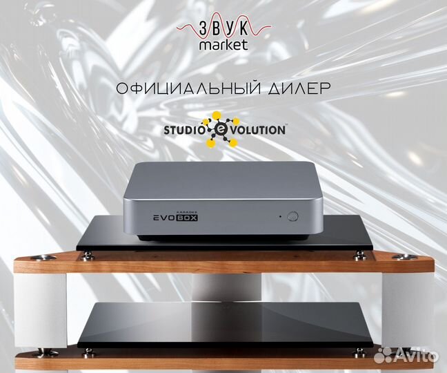 Караоке для дома Evolution Evobox Graphite