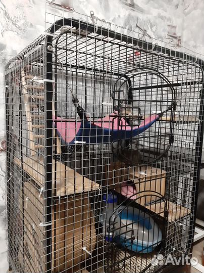 Клетка для белки дегу