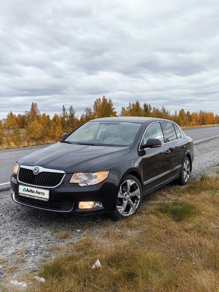 Skoda Superb: фото владельца