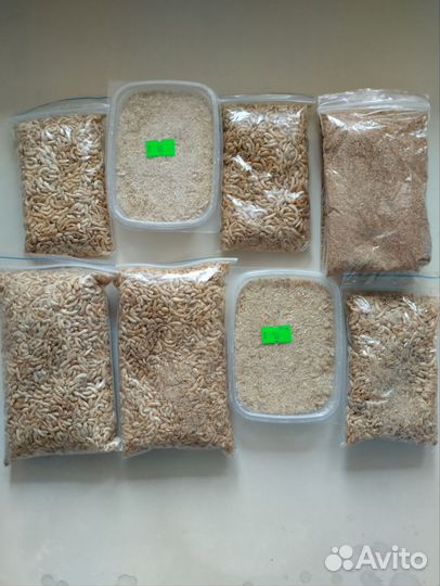 Корм для рыбок