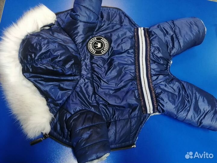 Зимний костюм для мелкой собачки