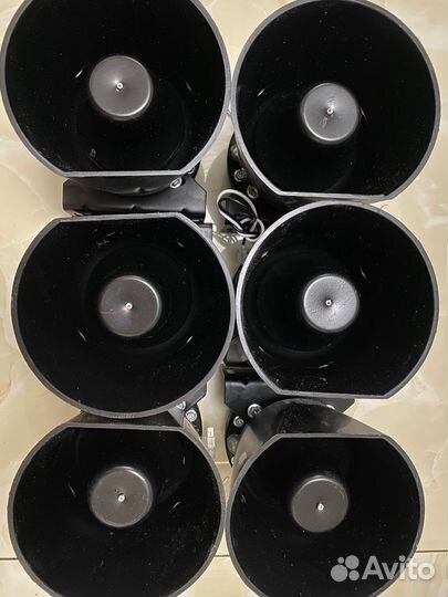 СГУ Элина Элина Гг-14