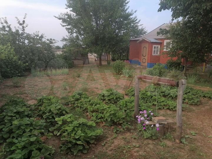 Дом 55,6 м² на участке 13 сот.