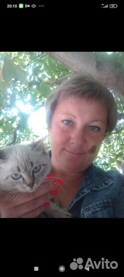 Услуги сиделки без проживания