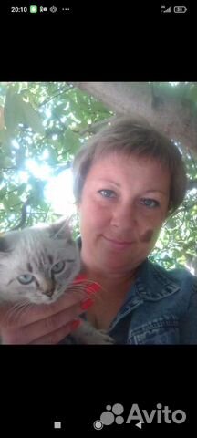 Услуги сиделки без проживания