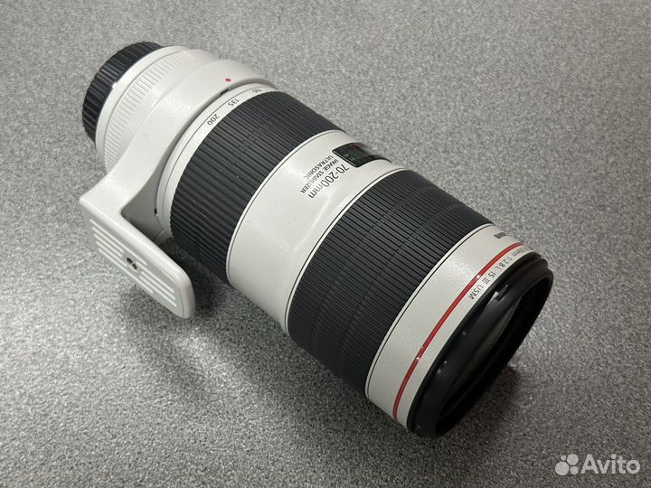 Canon EF 70-200mm f/2.8L IS III USM