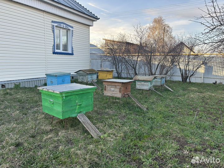 Улей с пчелами