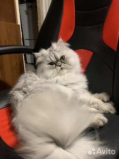 Игровое кресло Viking