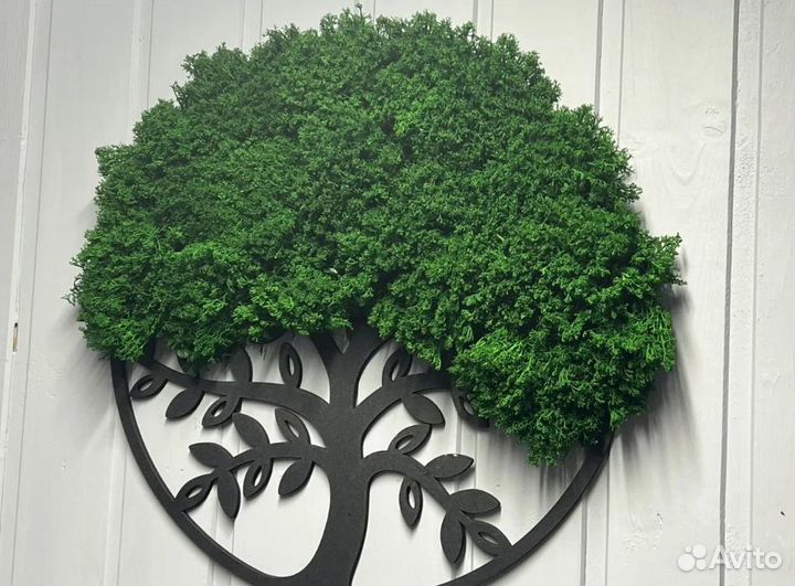 Стабилизированный мох от производителей