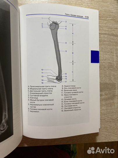 Атлас рентгенологической анатомии