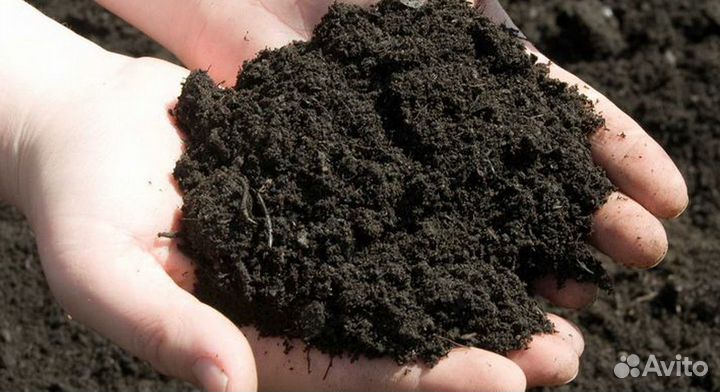 Чернозём земля плодородная