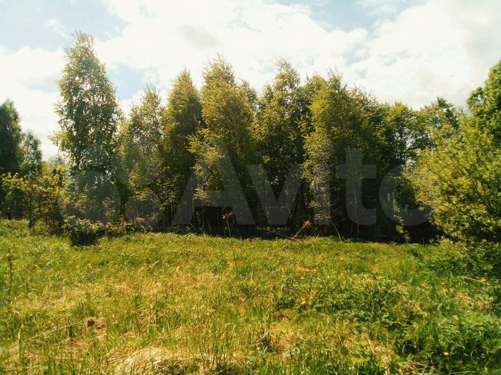 Участок 6 сот. (СНТ, ДНП)