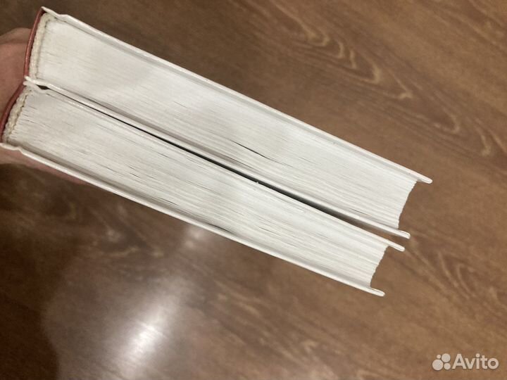 Учебник истории России 10 класс