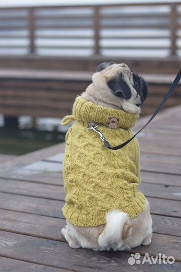 Одежда для собак свитер ручной работы