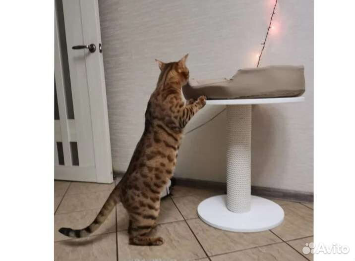 Игровой комплекс с домиком и когтеточкой