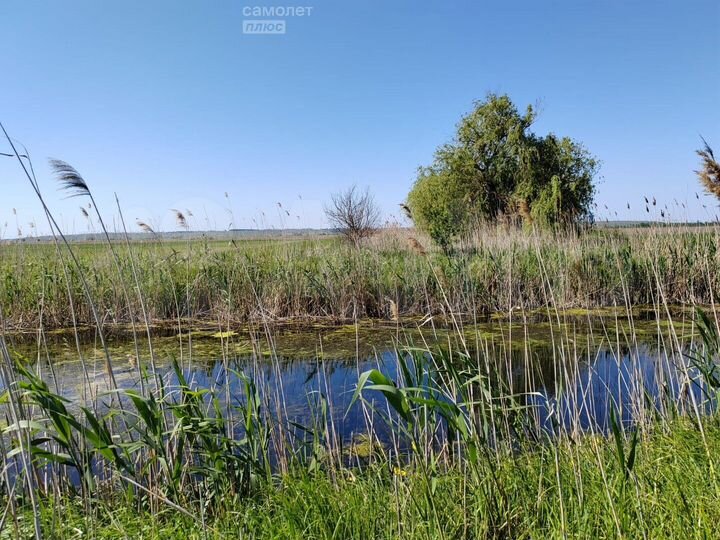 Участок 2,5 га (СНТ, ДНП)