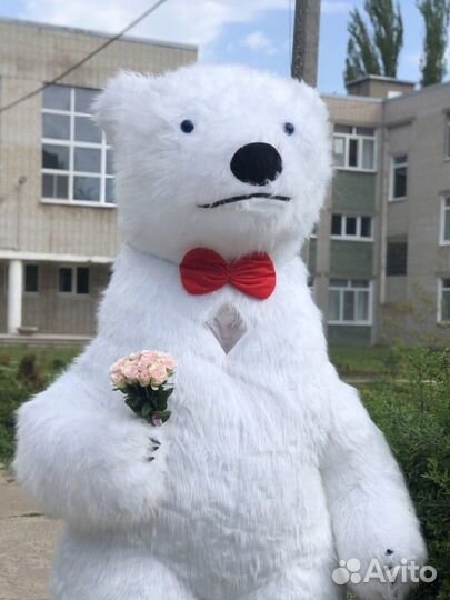 Белый мишка поздравление