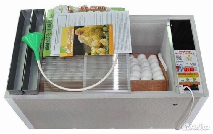 Инкубаторы Матрица, Блиц