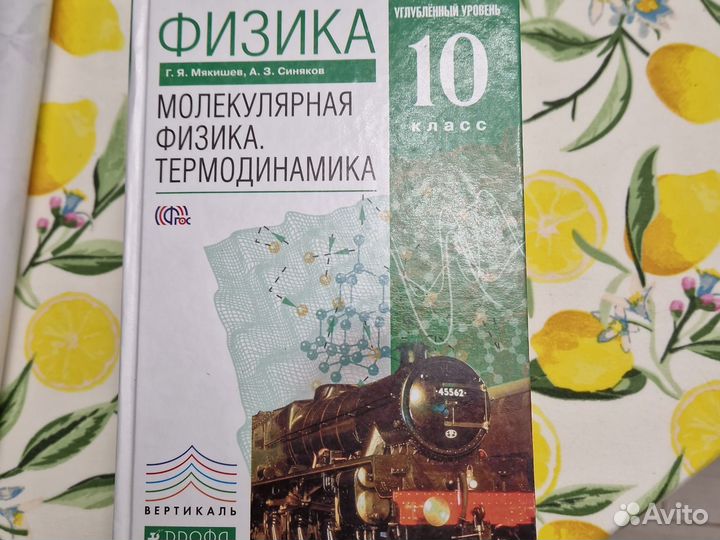 Учебники по физике, углублённым курс, 10-11 кл