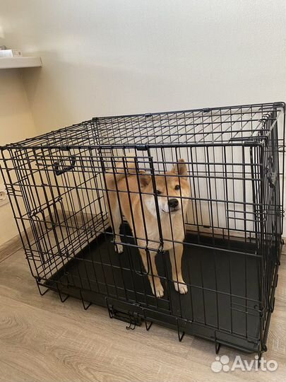 Клетка вольер для собак