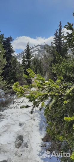 Тур из Уфы на Большой Иремель с заброской Башкирия