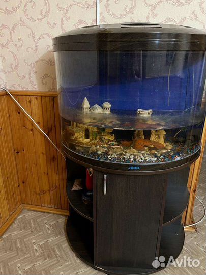 Аквариум с тумбой jebo