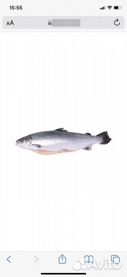 Продукты питания