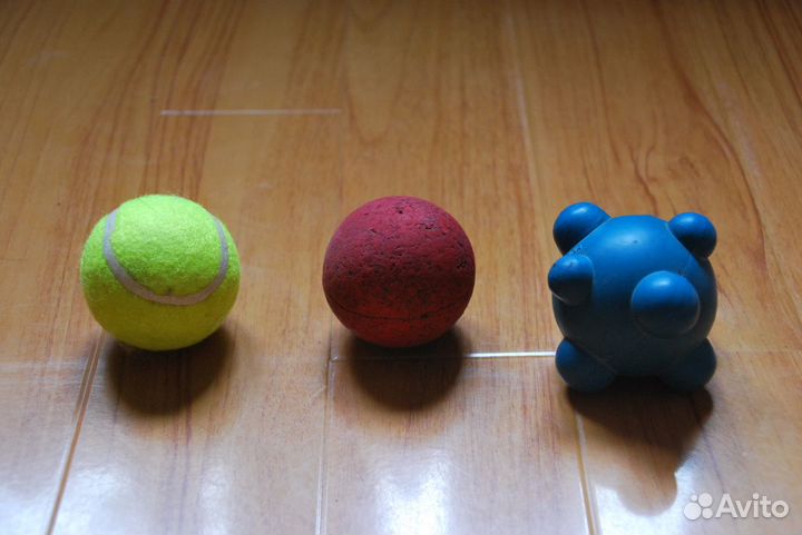 Ошейник,поводок,игрушки для собак