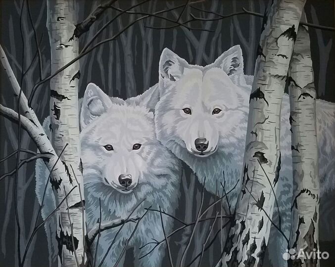 Dimensions Картина по номерам 51х41 