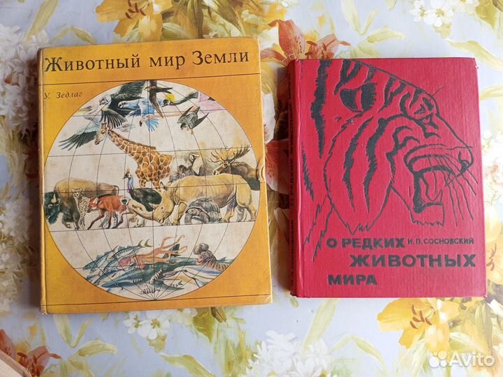 Культура Разные Книги