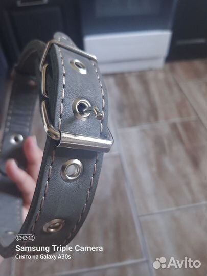 Ошейник для собак средних пород