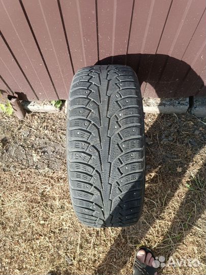 Nokian Tyres Hakkapeliitta 5 215/50 R17 95T