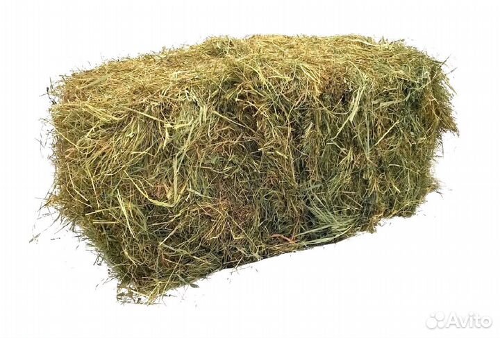 Сено