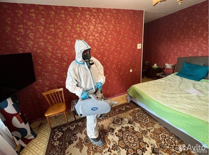 Уничтожение клопов тараканов мышей блох муравьев