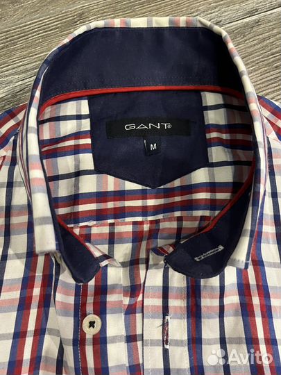 Gant