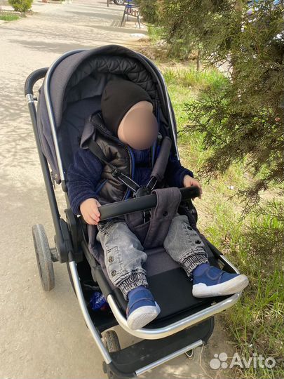 Коляска carello 2 в 1