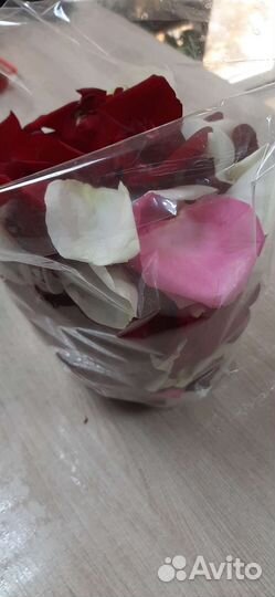 Лепестки роз