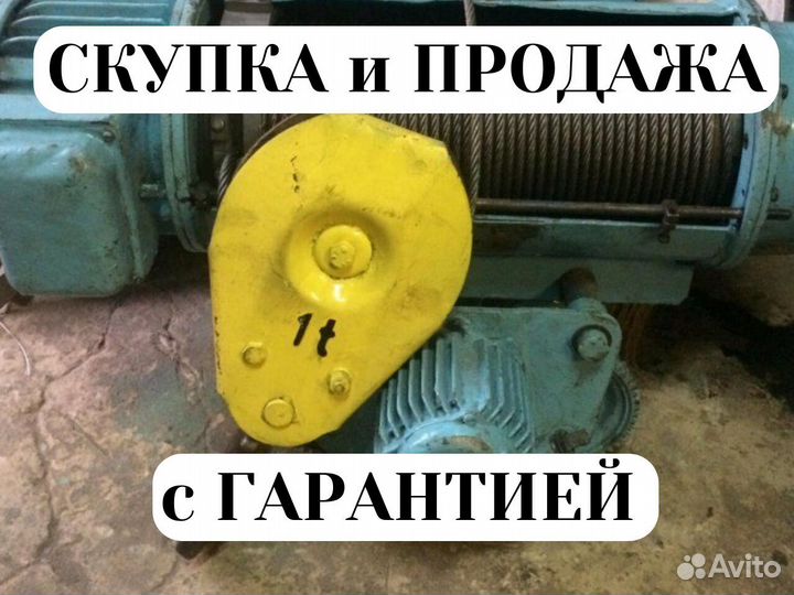 Тельфера болгарские